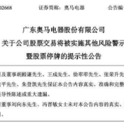 TCL入主不到120天，“冰箱出口大王”爆雷变ST