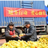 拼多多“暖冬行动”进侗乡，爱心助农销柑橘