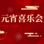 免费报名参与DIY自制元宵，拥有自己的圆墩墩！