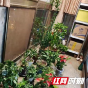 最美阳台手机摄影大赛2021年度榜单揭晓 快来看看花落谁家
