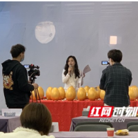 高标准，更美好 | 2022鸿扬新施工标准暨色彩流行趋势发布