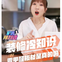 家装辣利婆|“0甲醛”板材真的存在吗？你不知道的4条装修冷知识