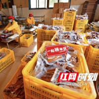 电商助力日销10吨 湖南腊味给全国添“年味”