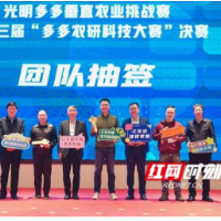 光明多多垂直农业挑战赛开启决赛 青年科学家向“每千克生菜耗10度电”发起强劲挑战