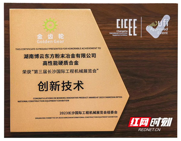 博云东方奖牌_副本.jpg