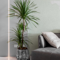 江西南康弘扬木匠文化赋能家具产业发展