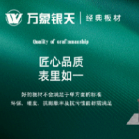 万象银天经典板材，为美好生活保驾护航
