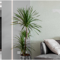 长沙将开展房屋保险试点工作