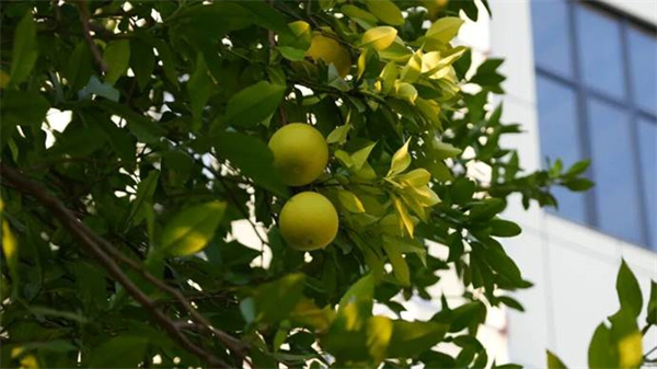 image008.jpg image008.jpg