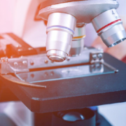 中疾控提示:生食或半生食螃蟹,极有可能引发肺吸虫病