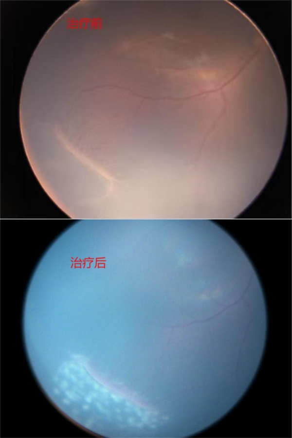 省妇幼保健院-.jpg 省妇幼保健院-.jpg