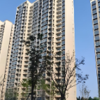 “安居幸福家”:保障房也能装下满分生活