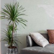 物业企业应积极推行标准化服务