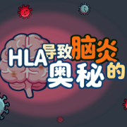 健康科普｜白细胞抗原“HLA”导致脑炎的奥秘