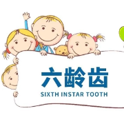 健康科普丨请签收！您的终身礼物——“六龄牙”