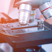 “药篮子”上新!2025年医保商保“双目录”发布