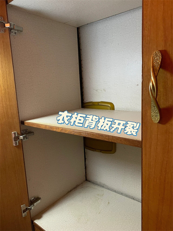 金煌家装--.jpg