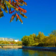 以惠民生为牵引,打开发展新空间