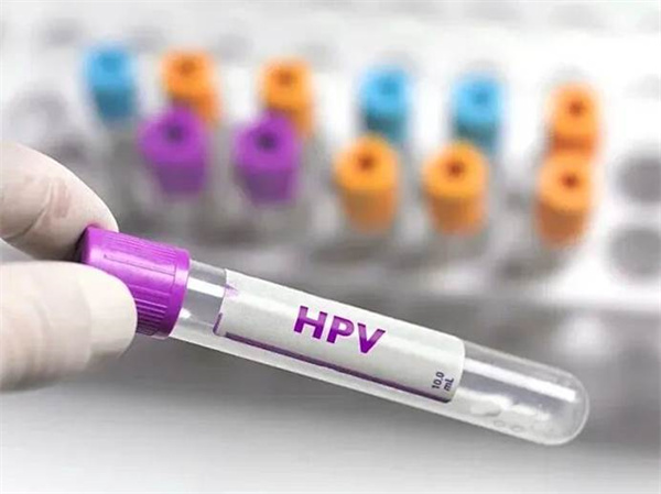 image003.jpg image003.jpg