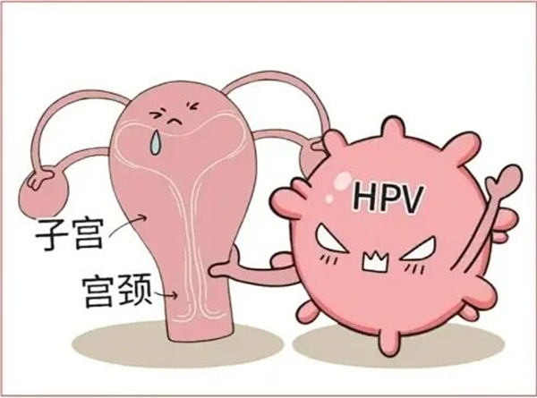 image002.jpg image002.jpg