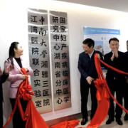 科研深耕，好孕可期！湘雅·江湾联合实验室持续攻坚生殖健康难题