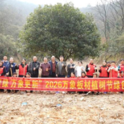 植此青绿万象更新 万象板材举办植树节绿色活动