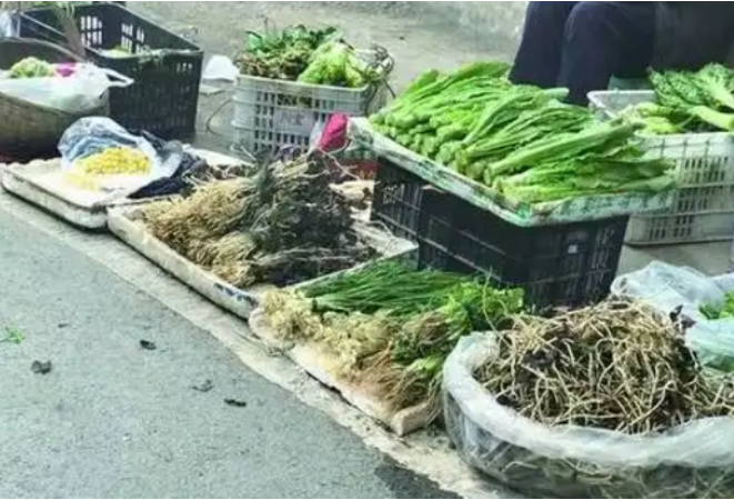野菜尝鲜需谨慎 北京市市场监管总局发布提醒