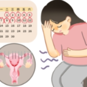 月经——女性健康的“晴雨表”