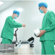 生育力保存的奇迹“胚胎冷冻”：你最想知道的5个问题