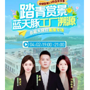 金煌总裁“云溯源”蓝天豚工厂，国潮1.0再掀健康家装风暴