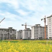 七十城房价数据释放市场复苏信号 3月份一线城市商品住宅销售价格环比上涨