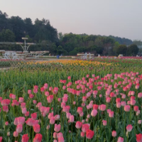 健康科普丨这个季节，失眠、焦虑、抑郁和情绪波动都要当心