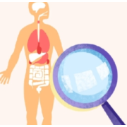 潮热疲劳不可忽视 专家提醒女性科学应对更年期健康风险