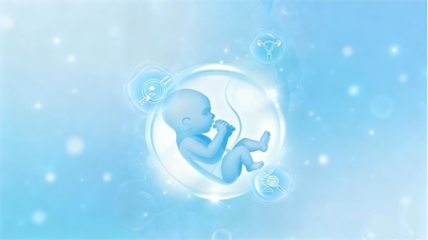 精筑生殖标杆5.26179.png 精筑生殖标杆5.26179.png