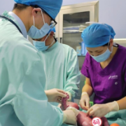 孕33周臀位胎膜早破,湖南省儿童医院医联体绿色通道上演生命“闯关”