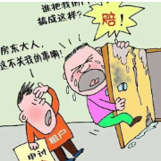 民法典在社区|宠物损伤家具 租客合理赔偿