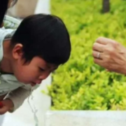 游客旅游归来一天腹泻7次，高烧近40℃ 医生提醒：出游时警惕“病从口入”