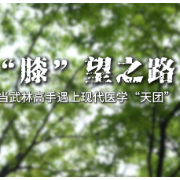 视频 | “膝”望之路——当武林高手遇上现代医学“天团”