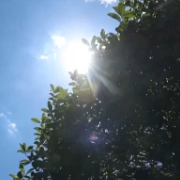 降雨+高温 这几类人群要注意防暑降温