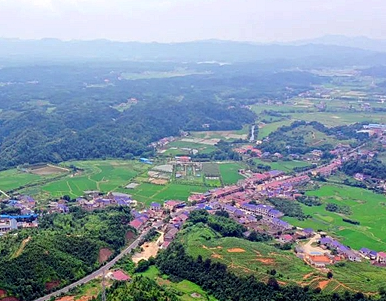 精准扶贫铺就蒲塘村“甜蜜路"