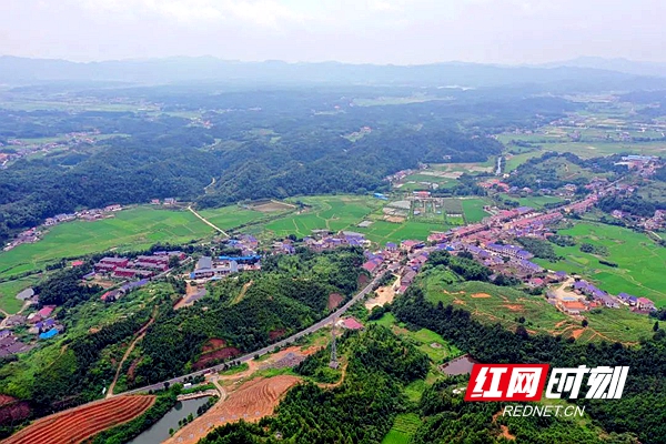 (記者 戴丹 通訊員 劉玉秋) 濃濃夏日,長沙縣金井鎮蒲塘村吐露陣陣