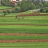 自然资源部：坚决遏制新增乱占耕地建房问题