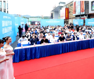 2020第七届中国（长沙）绿色建材家居博览会开幕