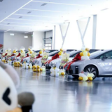 见证国产新能源车成长壮大