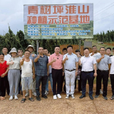 朱增辉：以“电商”为笔 描绘乡村振兴新画卷