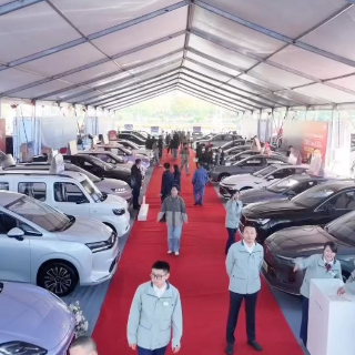 视频丨2025岳阳冬季车展众多品牌“放大招”