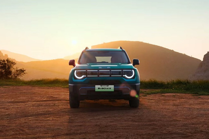 图片17.jpg 图片17.jpg