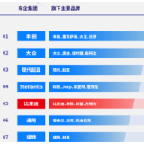 两家中国车企打入2024全球车企销量榜前十 比亚迪排名第五