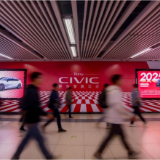 樱花季的武汉，为什么大家在追这抹红？