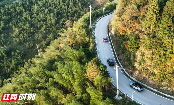 图片3 拷贝.png 图片3 拷贝.png